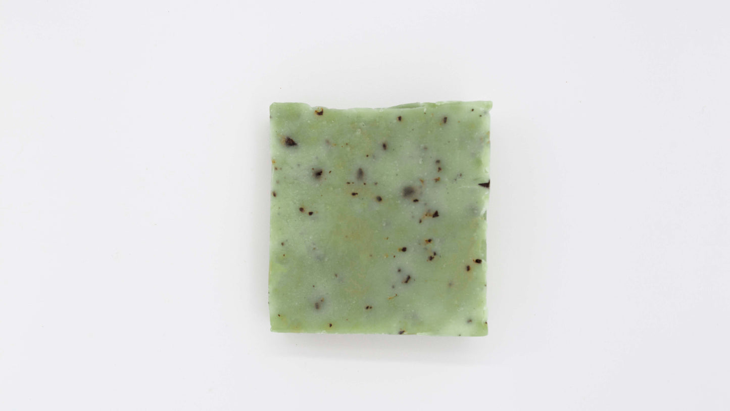 Pale Green Basil Mint Soap Bar flecked with bits of dark crushed coffee beans on a clean white backdrop.