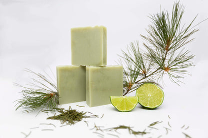 Three bright fresh vibrant green bergamot pine soap bars sit on a clean white background surrounded by forest green pine needles and a bright green fresh lime