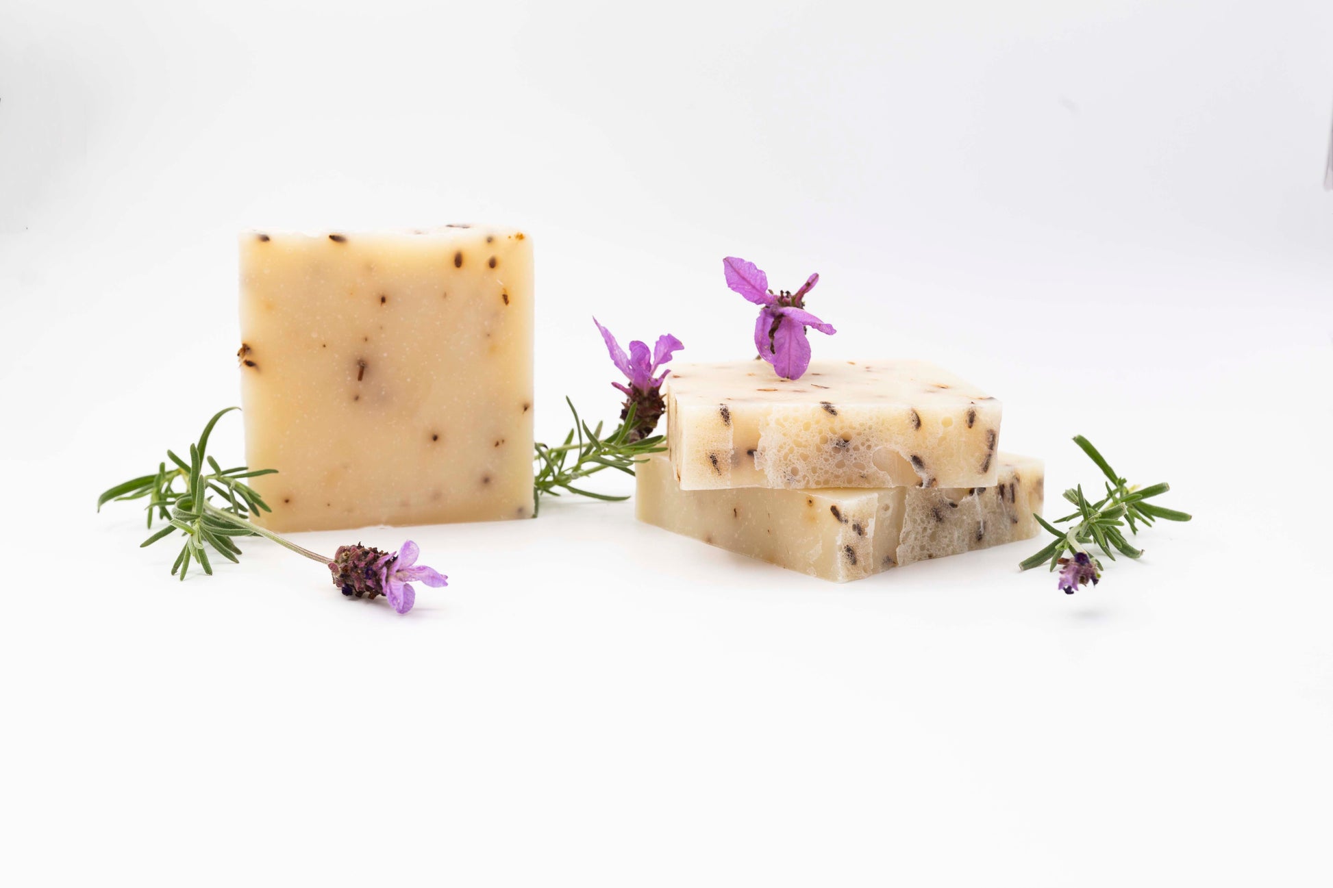 Ivory colored Lavender Blossom soaps flecked with pale purple lavender flowers sit on a clean white background with vibrant purple fresh lavender springs around them